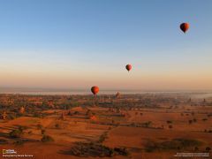 Tapeta National Geographic 660.jpg